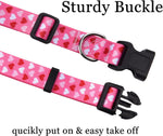 Mihqy medium dog collar displaying adjustable buckle and metal D-ring