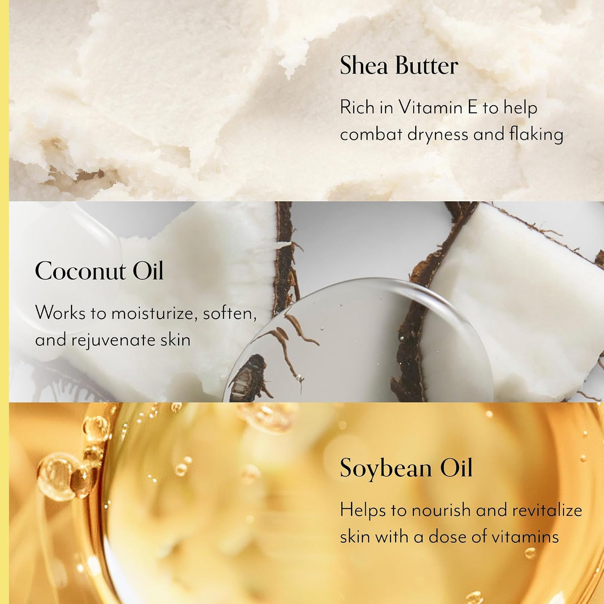 Bliss Vegan Skincare Body Butter set showing product texture