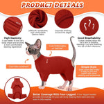 Hairless cat wearing soft red Christmas jumper