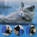 Yuntop cat massage comb demonstrated on a wooden table leg