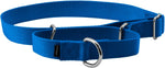PetSafe Martingale Dog Collar Small, 3/4 Inch, Royal Blue - Image 14