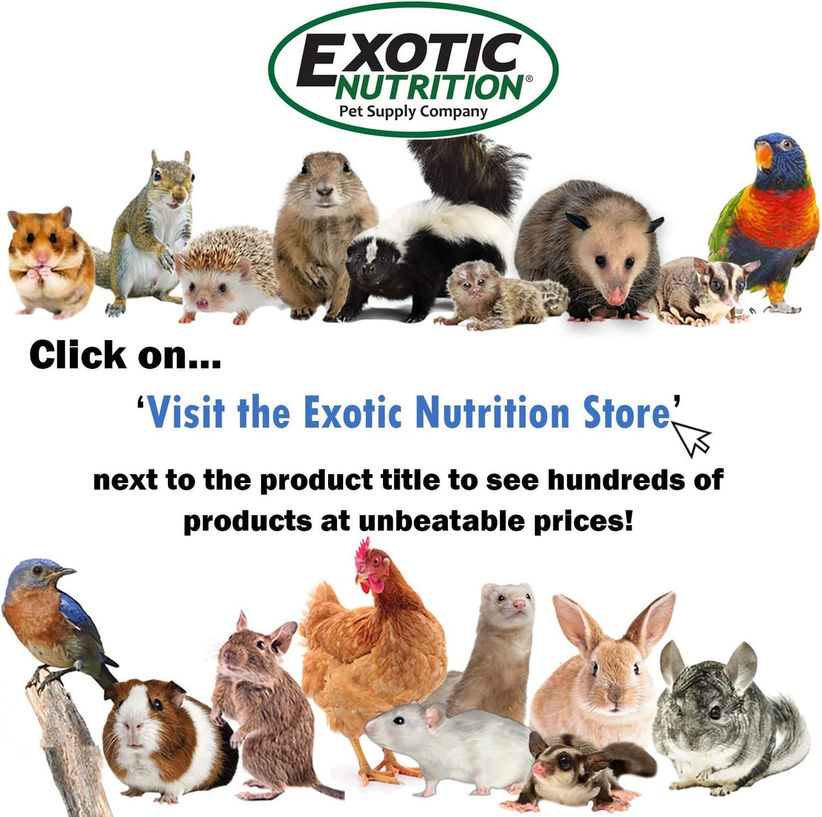 Exotic Nutrition Berries and Bugs natural insect and berry mix