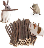 Petawi apple sticks molar wood treats front view packaging for small pet dental health