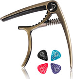 Donner capo lifestyle instrument setup