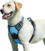 Eagloo dog harness front view showing chest plate and metal ring