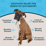 Animal Essentials organic liquid herbal extract for pet digestive health showing NASC seal