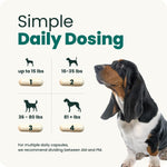 Premium USA imported spinal care supplement for dogs in India