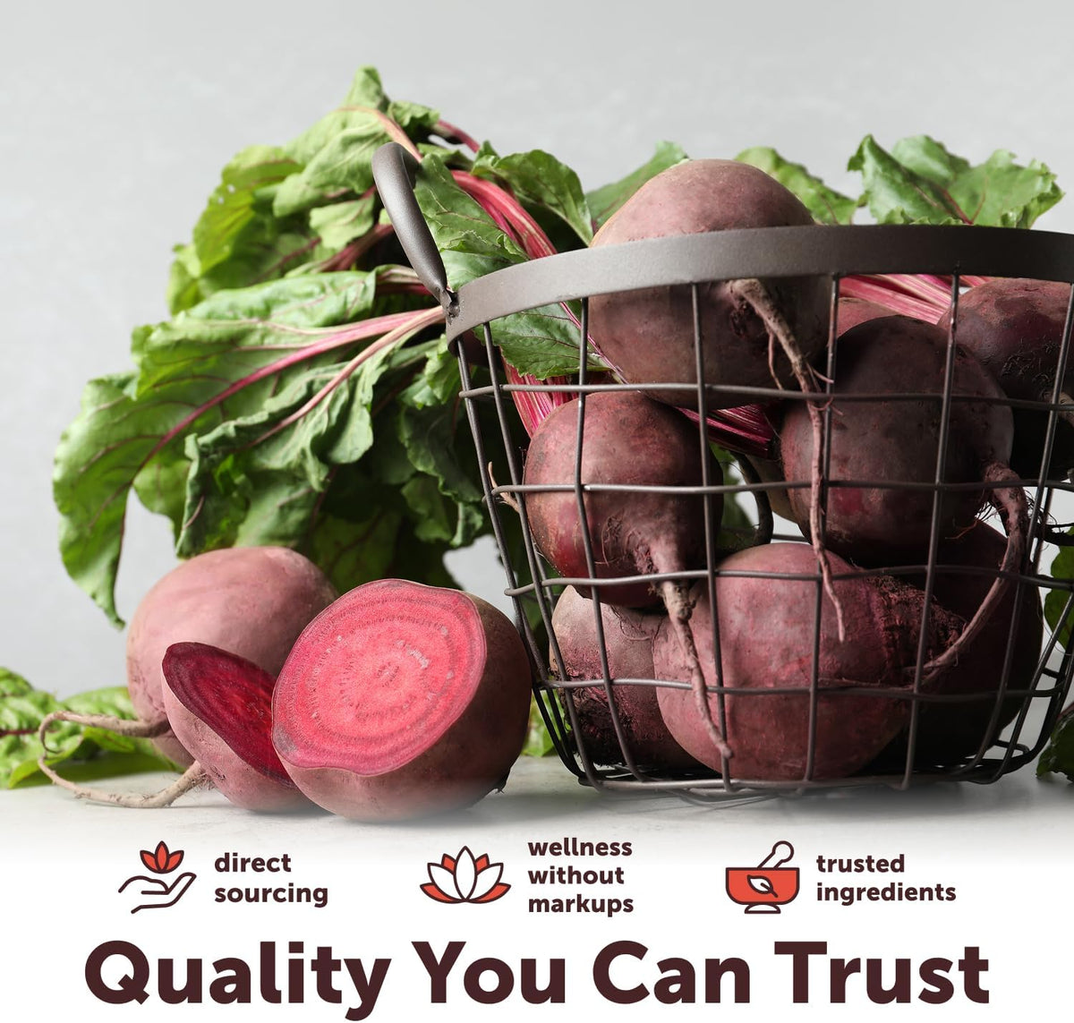 Micro Ingredients Organic Beet Root Juice Powder USDA Organic Seal