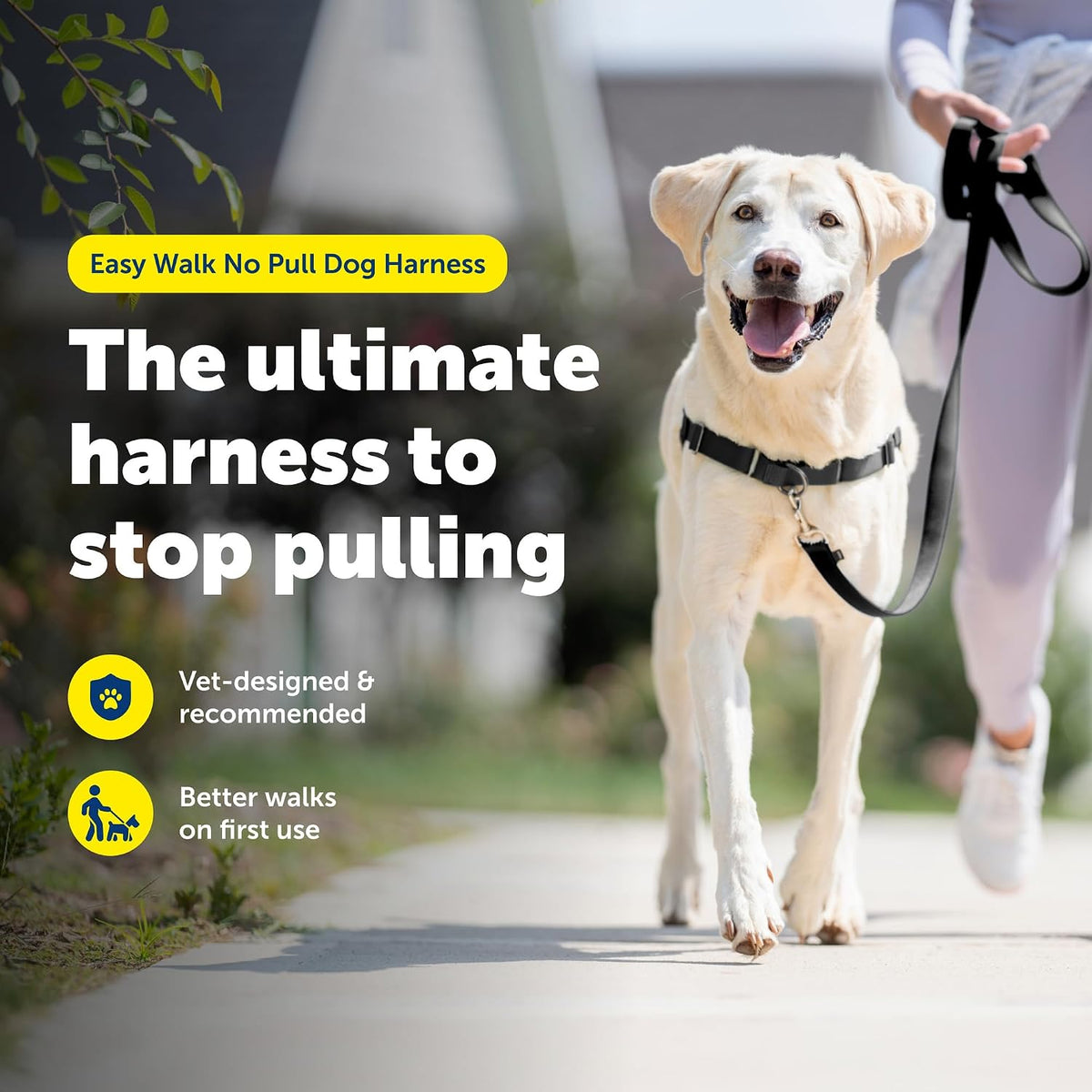 Adjustable straps on PetSafe Easy Walk dog harness