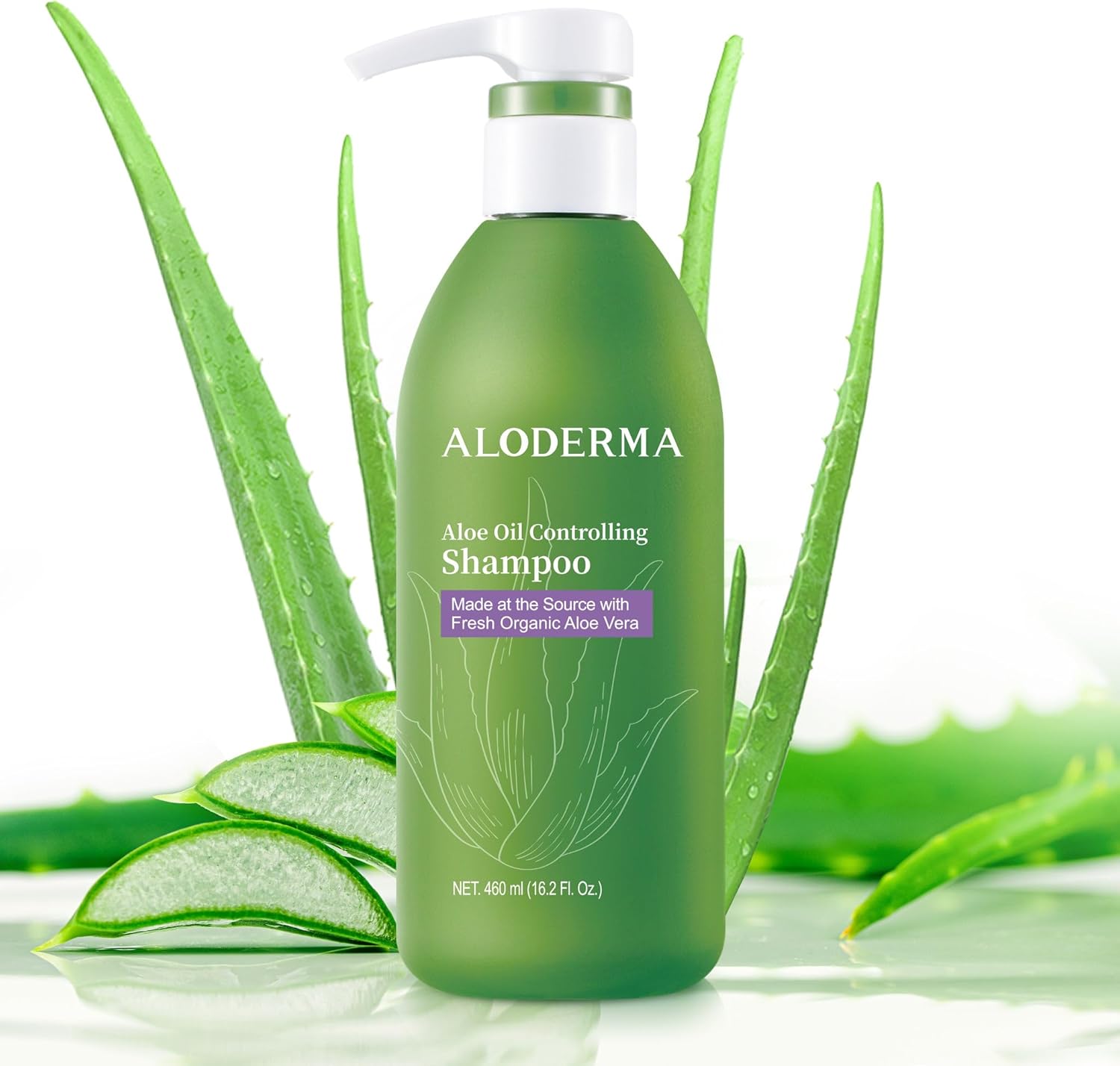 Aloderma Aloe Oil Control Shampoo 16 Ounce bottle front view