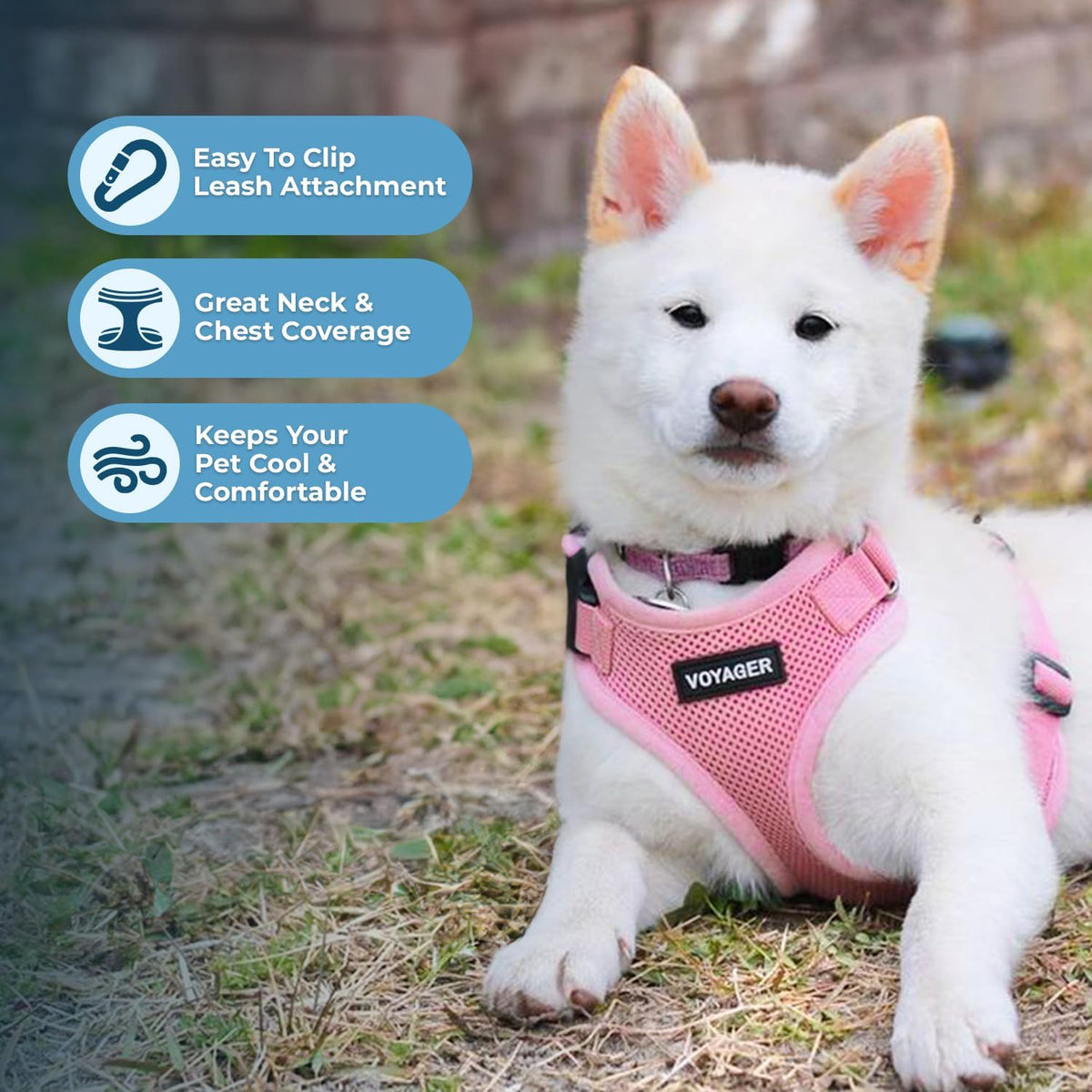 Close-up detail of the heavy-duty double D-ring system on the Best Pet Supplies all-weather harness.
