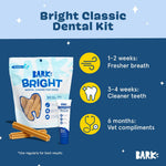 Small breed dog enjoying a Barkbox Bright dental stick