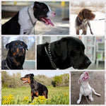 Rust proof alloy steel slip choker collar for medium large dogs