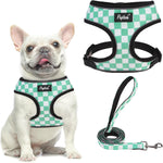 PUPTECK Small Dog Harness and Leash Set No Pull for XS XXS Sized Dogs Puppy | Escape Proof No Choke Pet Cat Adjustable Soft Padded Walking Vest - Image 11
