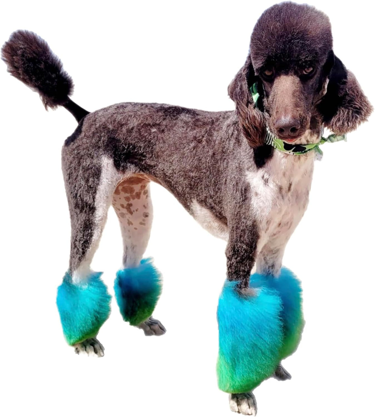 Crazy Liberty plant-based non-toxic pet hair color tube