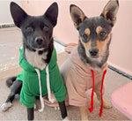 Pet wearing warm fleece lined frog sweater coat