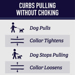 Leash Boss patterned training collar with dual channels of reflective stitching details