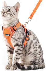 Cat Harness and Leash Escape Proof Extra Large Kitten Harness Maine Coon Cat Vest for Walking Travel, Dark Green, XL - Image 10