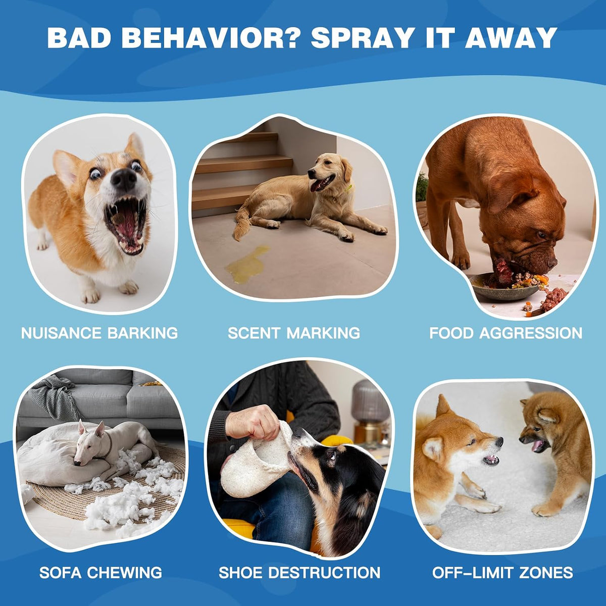 Zeromx spray cans for pet behavior management