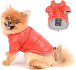 Paideful small dog coat front view