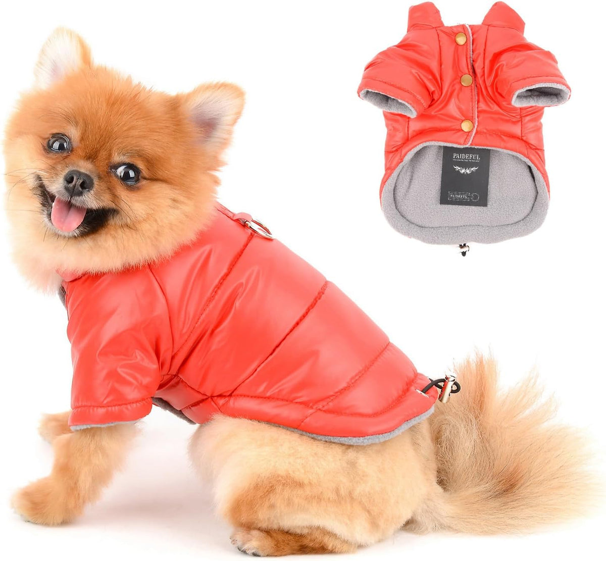 Paideful small dog coat front view