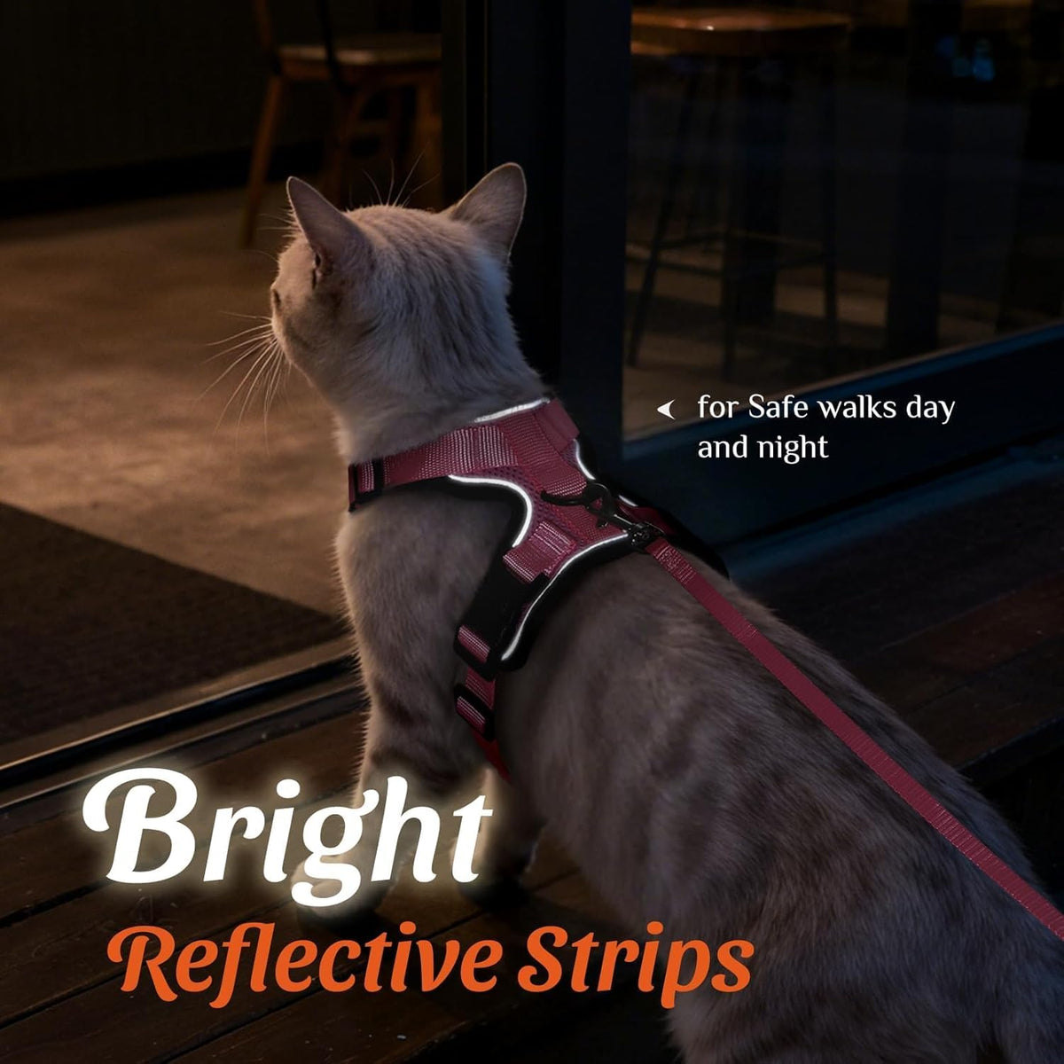 Dooradar pink reflective cat harness attached to 150 cm nylon leash