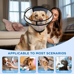 Bonthee XXL dog cone collar on a large dog