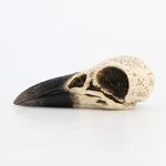 Close-up of the alchemical symbols on the textured skull beak.
