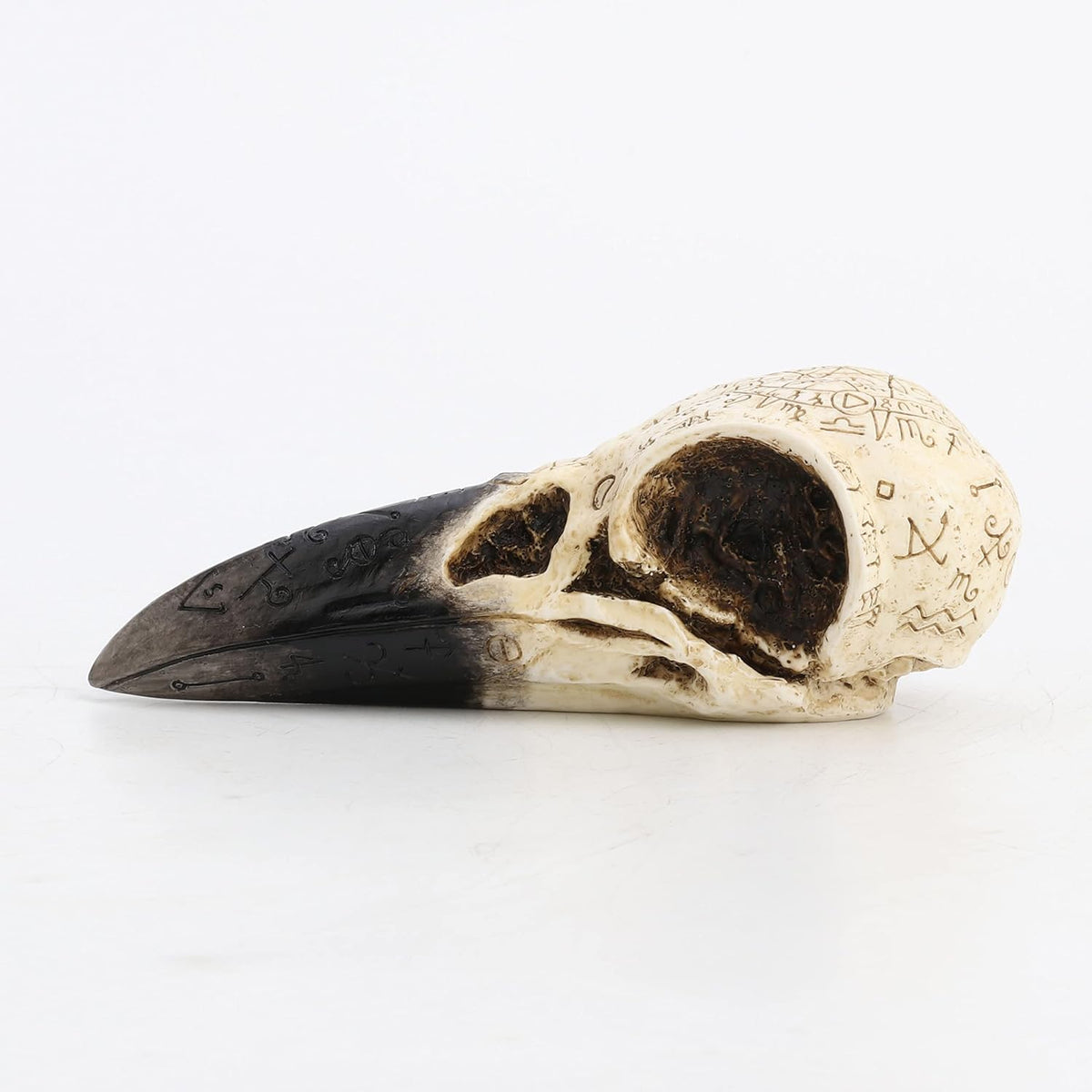 Close-up of the alchemical symbols on the textured skull beak.