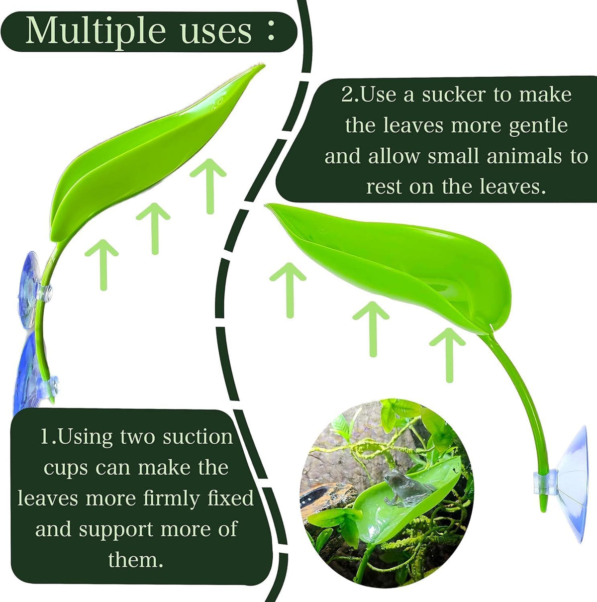 Detailed view of suction cup mounting for terrarium decor
