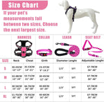 Durable nylon dog leash and collar set