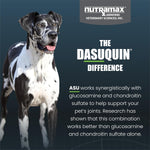 Large dog joint supplement with glucosamine chondroitin and ASU by Nutramax