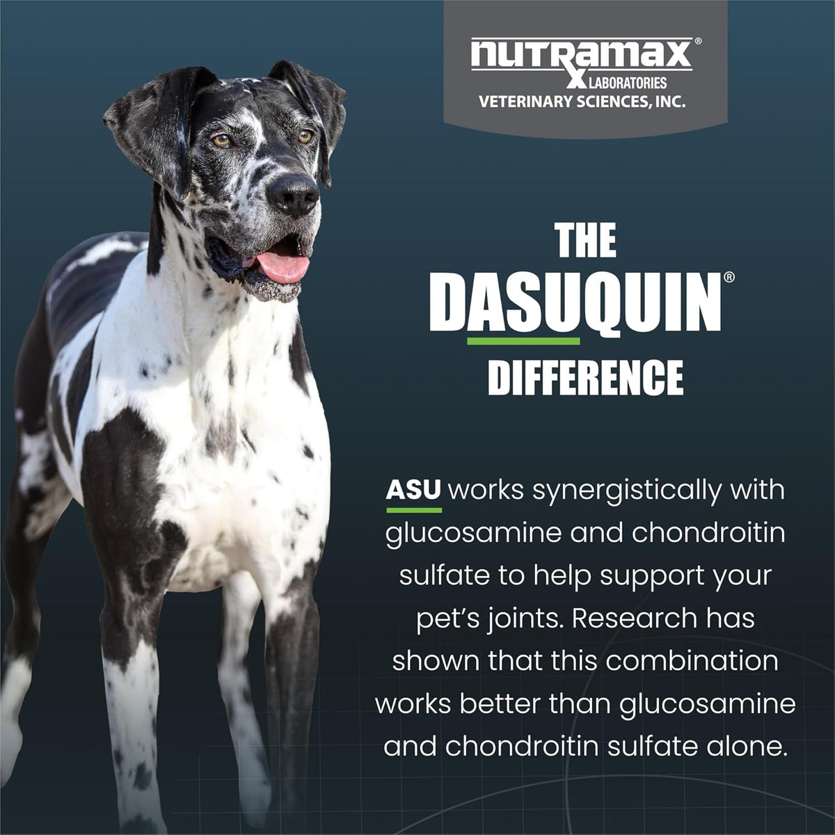 Large dog joint supplement with glucosamine chondroitin and ASU by Nutramax