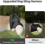 Dog wearing soft hind leg support harness
