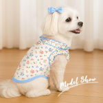 Small dog wearing Axiijgl summer shirt with D-ring detail