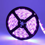 YGS-Tech 16.4FT ultraviolet strip lights with 12V power supply unit