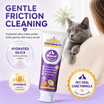 Close up of VVHOMIFE pet toothpaste texture
