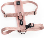 Fei & Eve Moxie Dog Harness for Small & Medium Dogs, Champagne, S | Lightweight Design, 3-Point No-Pull Control, Quick Release Metal Buckle - Image 9