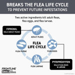 Waterproof spot on flea protection treatment back panel information
