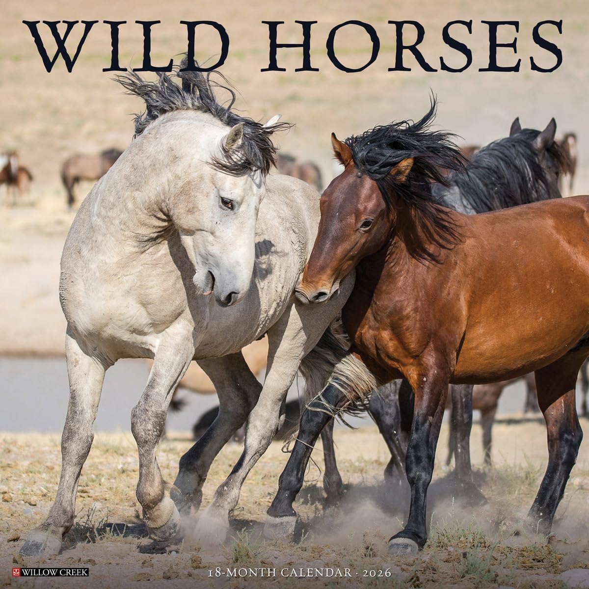 Wild Horses 2026 Wall Calendar - Image 1