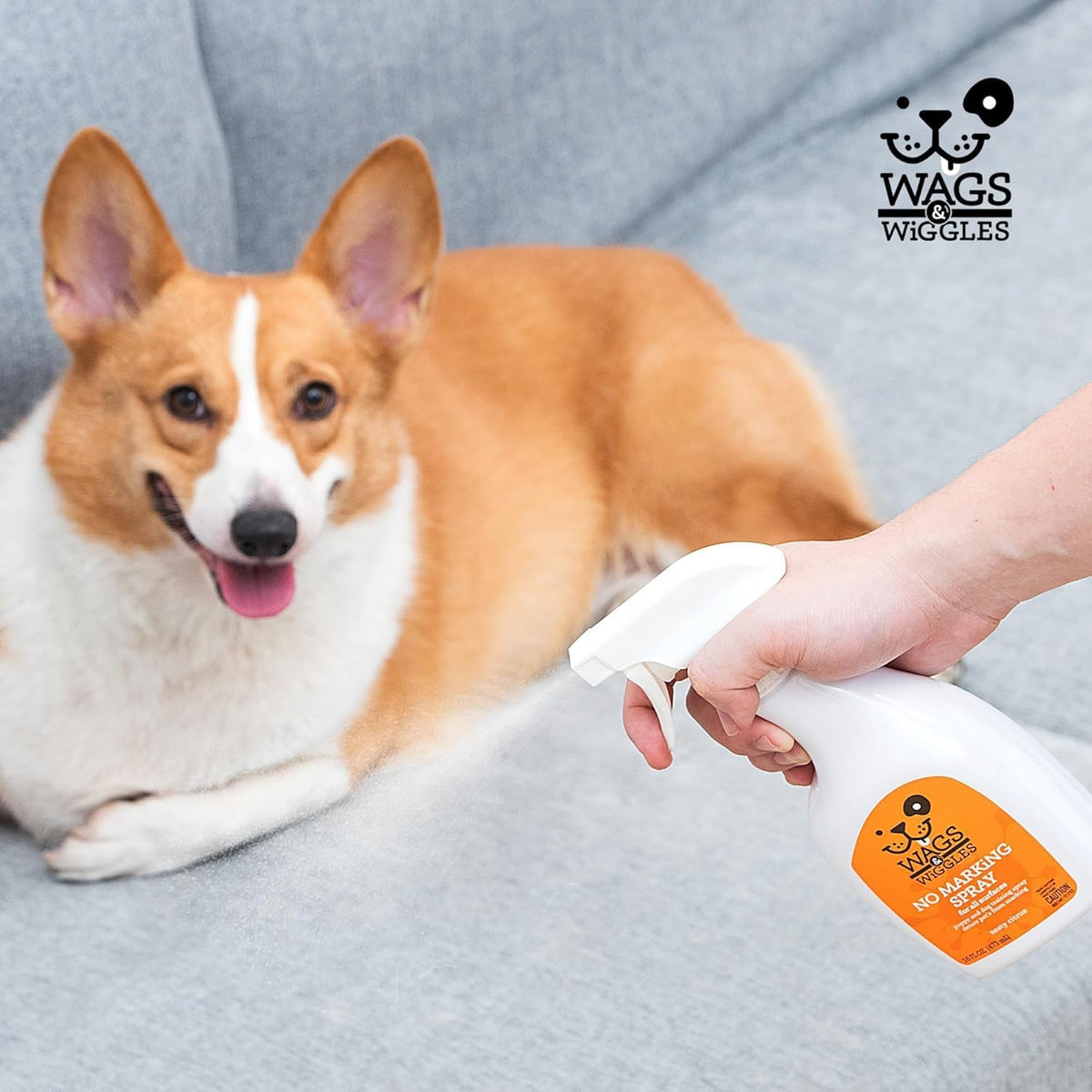 Using Wags and Wiggles dog pee repellent on indoor furniture