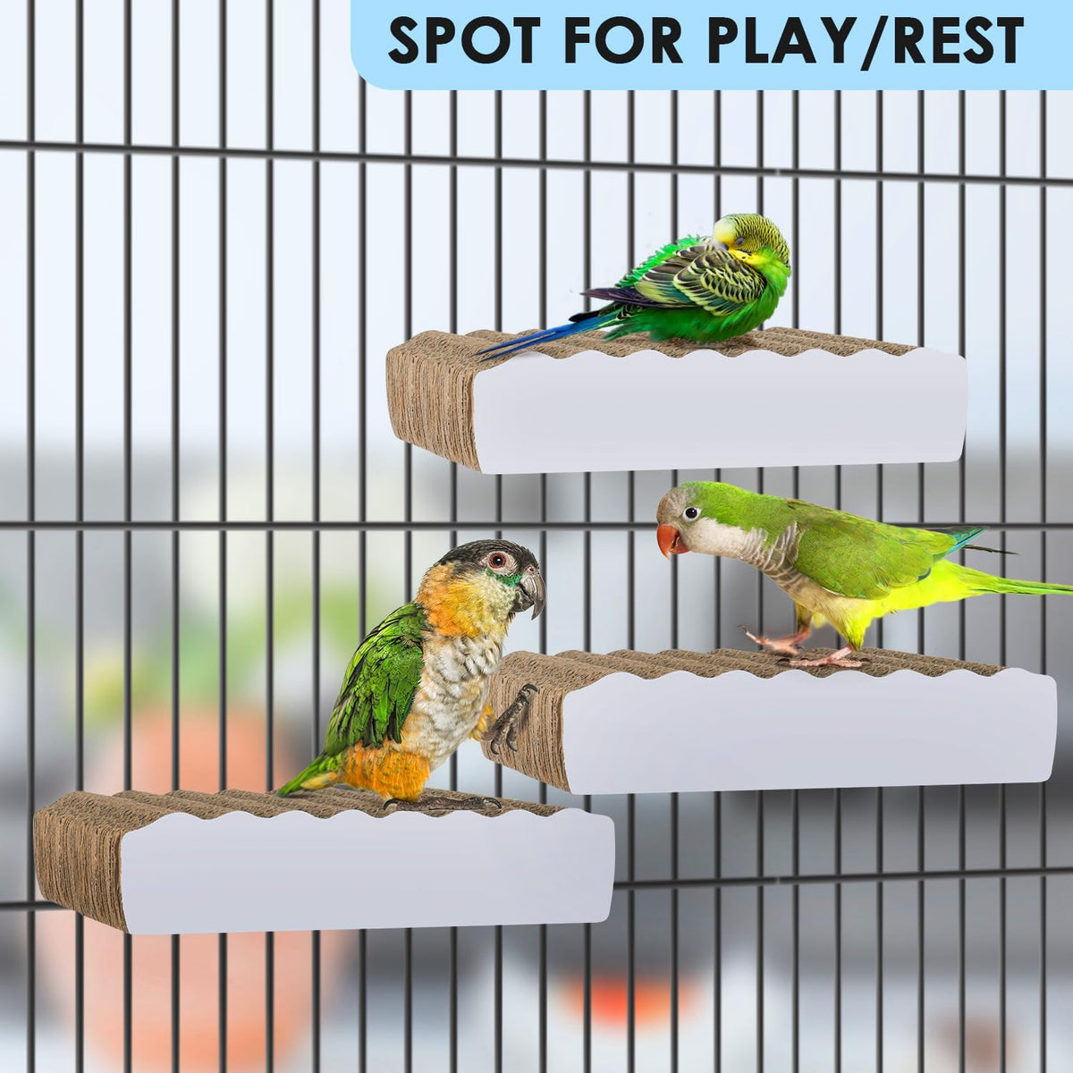 Parakeet cage stand with heavy duty wing nuts close up