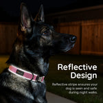 ILFINDYOU personalized dog collar with customizable digital pet profile setup feature
