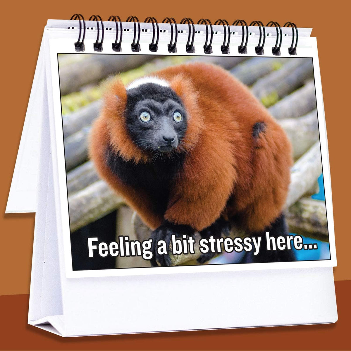 Maad hilarious desk accessory showcased in a corporate cubicle