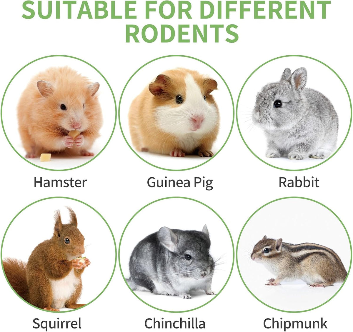 Safe dye free rodent foraging treats and teething accessories displayed on a clean background