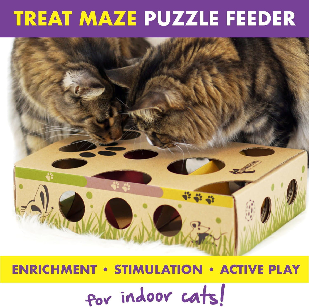 Cat Amazing slow feeder puzzle box being filled with dry kibble for feline digestive health.