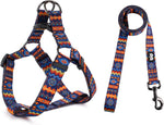 QQPETS Dog Harness Leash Set Adjustable Heavy Duty No Pull Halter Harnesses for Small Medium Large Breed Dogs Back Clip Anti-Twist Perfect for Walking - Image 10