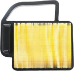 Chacarbtu Kohler engine air filter and pre cleaner component display