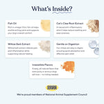 Pawfy hip and joint dog vitamins with Omega 3 close up view of premium botanical ingredients.