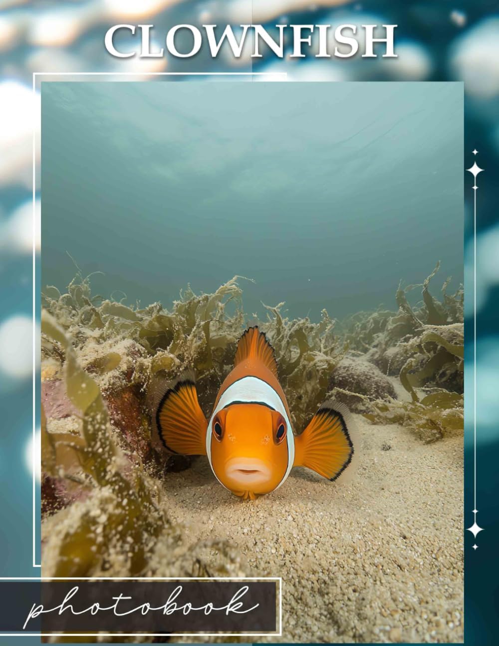 Clownfish: Vibrant Images Of Colorful Clownfish To Inspire Ocean Lovers And Enthusiasts - Image 1